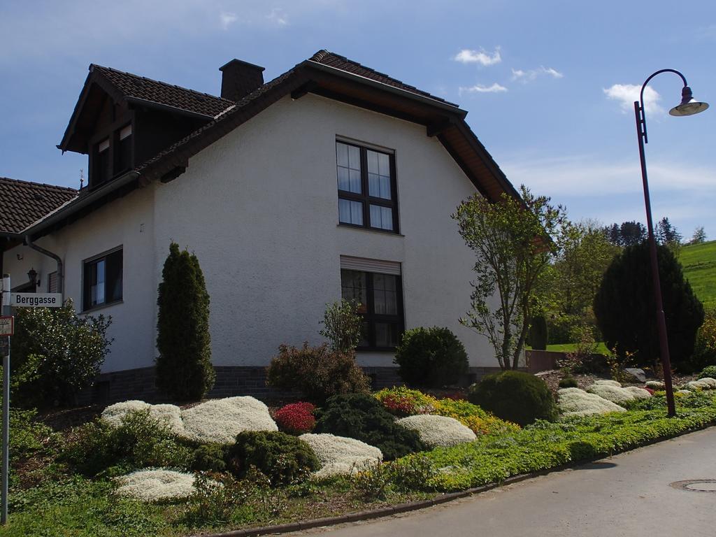 Ferienwohnung Meisenthal Naehe Nuerburgring Kelberg Kamer foto
